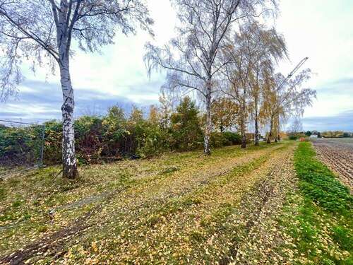 Foto - Grundstück in Lehrte 15.600,00 € 11500 m²