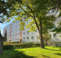 Wohnung zum Mieten in Wernigerode 193,30 € 26.81 m²