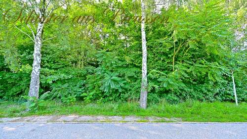 Foto - Grundstück zu verkaufen in Schönow 230.000,00 € 500 m²