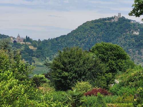 Foto - Grundstück zu verkaufen in Bonn 985.000,00 € 1698 m²