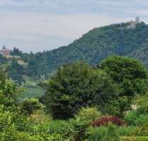 Grundstück zu verkaufen in Bonn 985.000,00 € 1698 m²