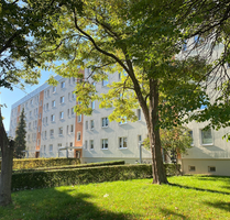 Wohnung zum Mieten in Wernigerode 185,01 € 25.66 m²