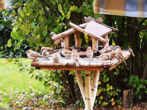 Foto - Haus zum Kaufen in Bahretal 406.634,00 € 125 m²