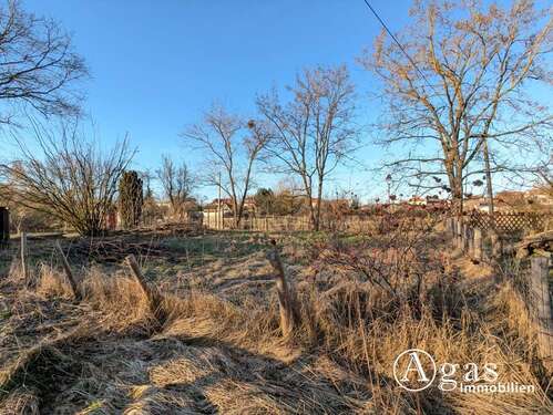 Foto - Grundstück zu verkaufen in Beelitz 160.000,00 € 850 m²