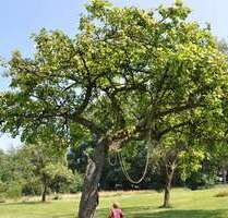 Haus zum Kaufen in Stolberg (Rhld.) 549.000,00 € 148 m²