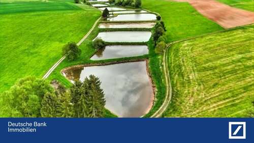 Foto - Grundstück zu verkaufen in Freudenberg 125.000,00 € 12589 m²