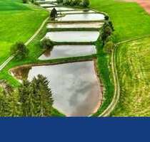 Grundstück zu verkaufen in Freudenberg 125.000,00 € 12589 m²