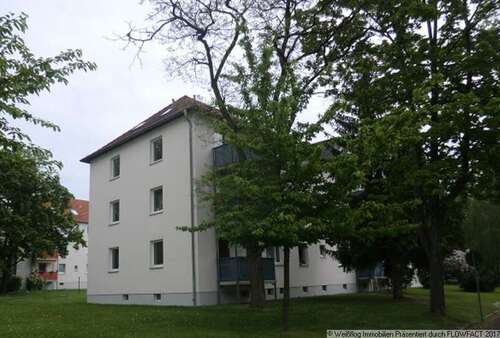 Foto - Wohnung zum Mieten in Riesa 305,00 € 48.94 m²