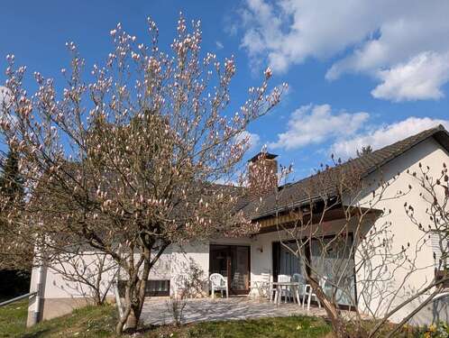 Foto - Haus zum Kaufen in Heusenstamm 779.000,00 € 226 m²