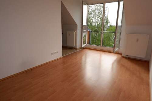 Foto - Wohnung zum Mieten in Chemnitz 250,00 € 44.4 m²