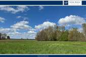 Grundstück zu verkaufen in Lüder Röhrsen 123.000,00 € 8322 m² - Lüder / Röhrsen