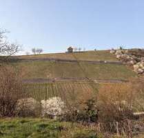 Wohnung zum Mieten in Heppenheim 1.490,00 € 101 m²