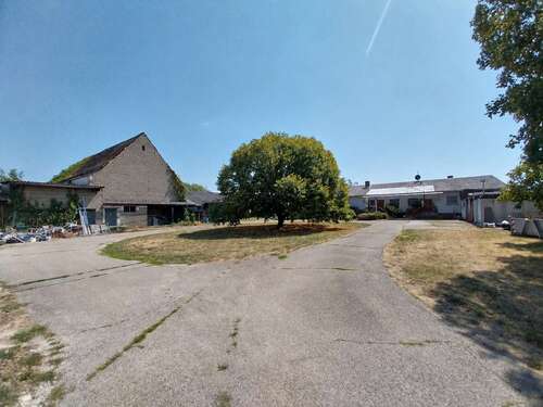 Foto - Haus zum Kaufen in Lampertheim-Hofheim 245.000,00 € 202 m²