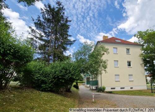 Foto - Wohnung zum Mieten in Riesa 250,00 € 36 m²