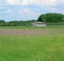 Grundstück in Wald-Michelbach OT Ober Schönmattenwag 140.000,00 € 93881 m²