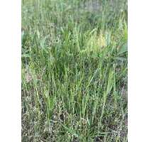 Grundstück zu verkaufen in Fürth 549.800,00 € 595 m²