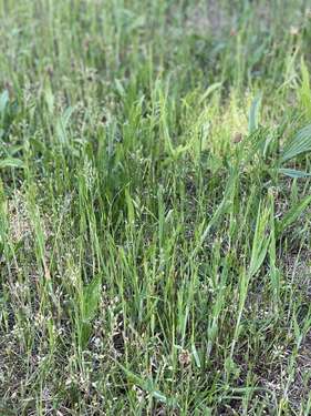 Foto - Grundstück zu verkaufen in Fürth 579.800,00 € 595 m²