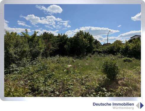 Foto - Grundstück zu verkaufen in Kernen-Rommelshausen 699.000,00 € 644 m²