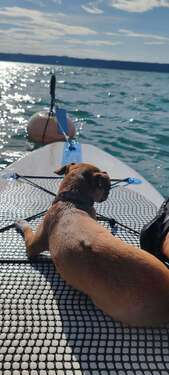 Foto - Grundstück zu verkaufen in Herrsching 550.000,00 € 300 m²