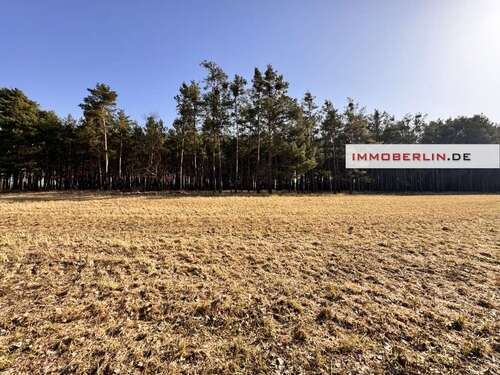 Foto - Grundstück zu verkaufen in Märkische Heide 19.999,00 € 20401 m²