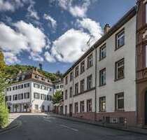 Haus zum Kaufen in Heidelberg 1.500.000,00 € 477 m²