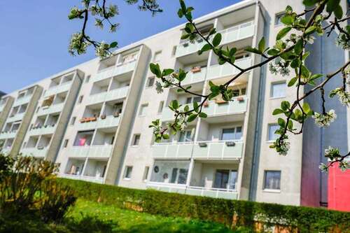 Foto - Wohnung zum Mieten in Magdeburg 345,00 € 56.76 m²