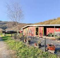 Haus zum Kaufen in Waldbreitbach 59.000,00 € 50 m²