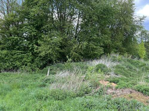 Foto - Grundstück zu verkaufen in Uslar 99.000,00 € 818 m²