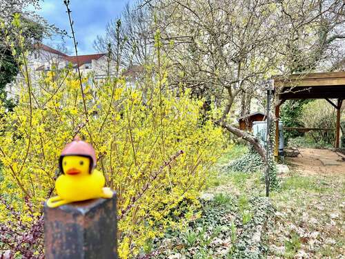 Foto - Grundstück zu verkaufen in FürstenwaldeSpree 159.000,00 € 635 m²