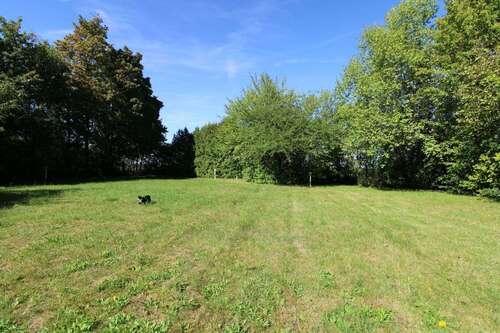 Foto - Grundstück zu verkaufen in Hilpoltstein 248.000,00 € 721 m²