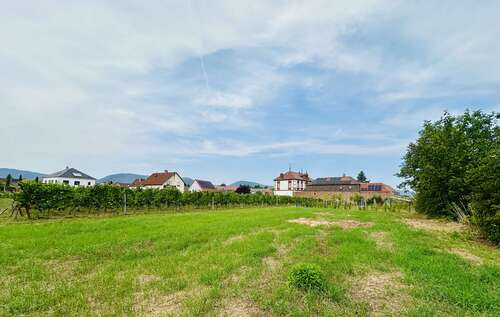 Foto - Wohnung zum Kaufen in Edesheim 799.000,00 € 170 m²