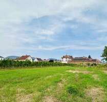 Wohnung zum Kaufen in Edesheim 799.000,00 € 170 m²