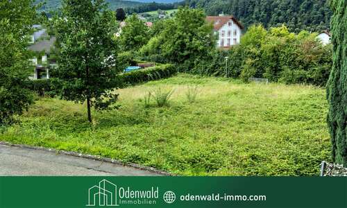 Foto - Grundstück zu verkaufen in Neckargerach 159.000,00 € 1197 m²