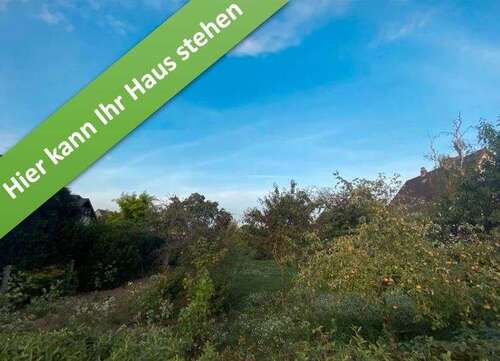 Foto - Haus zum Kaufen in Wipshausen 357.500,00 € 166 m²