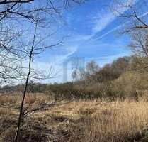 Grundstück zu verkaufen in Krummesse 299.000,00 € 4318 m²