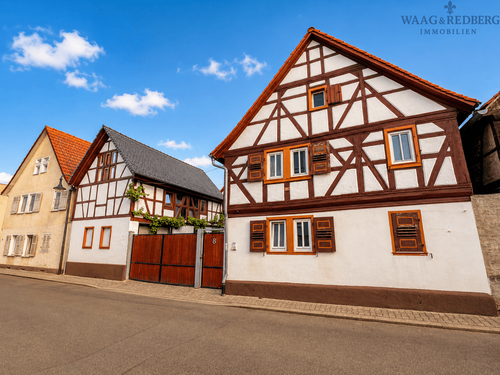 Foto - Haus zum Kaufen in Groß-Gerau 1.349.000,00 € 500 m²