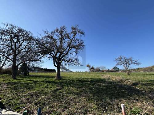 Foto - Grundstück zu verkaufen in Oberöfflingen 49.000,00 € 656 m²