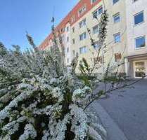 Wohnung zum Mieten in Wilkau-Haßlau 320,00 € 57.32 m²