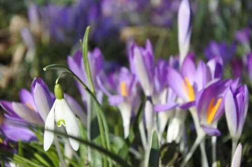 Foto - Haus zum Kaufen in Wilburgstetten 390.000,00 € 127 m²