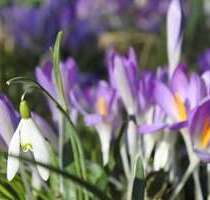 Haus zum Kaufen in Wilburgstetten 390.000,00 € 127 m²