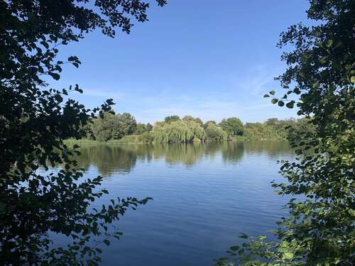 Foto - Grundstück zu verkaufen in Treuenbrietzen 245.000,00 € 1109 m²