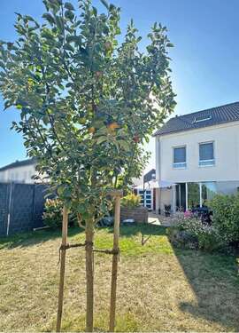 Foto - Haus zum Kaufen in Niddatal 489.000,00 € 140.52 m²