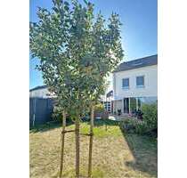 Haus zum Kaufen in Niddatal 489.000,00 € 140.52 m²