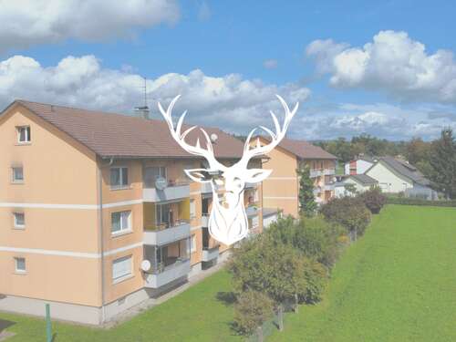 Foto - Wohnung zum Kaufen in Laufenburg 120.000,00 € 40 m²