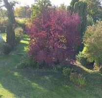 Haus zum Kaufen in Ertingen 539.000,00 € 260 m²