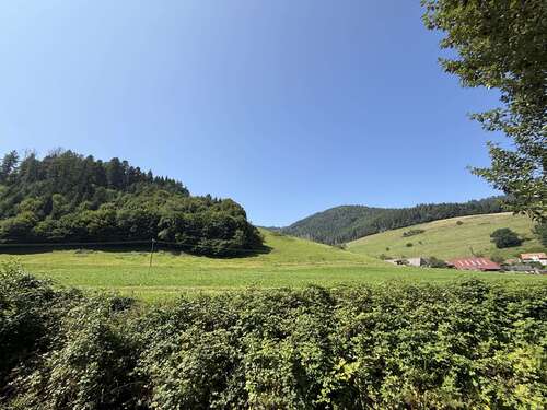 Foto - Haus zum Kaufen in Freiburg-Kappel 646.000,00 € 175 m²