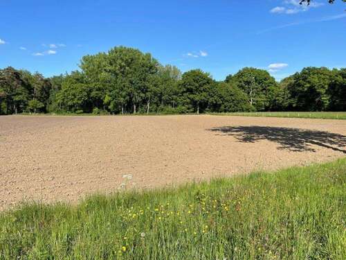 Foto - Grundstück in Südlohn 197.250,00 € 14601 m²