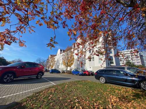 Foto - Wohnung zum Mieten in Magdeburg 250,00 € 28 m²