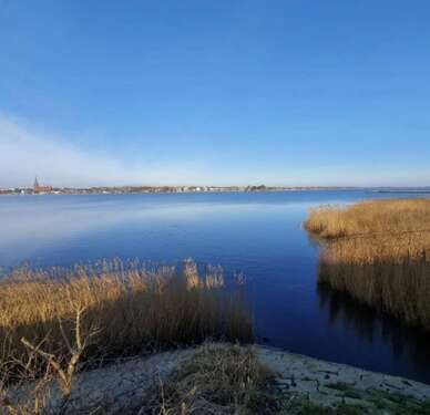 Foto - Haus zum Kaufen in Güby 650.000,00 € 315.31 m²