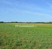 Spezialgewerbe in Weil 29.000,00 € 3640 m²